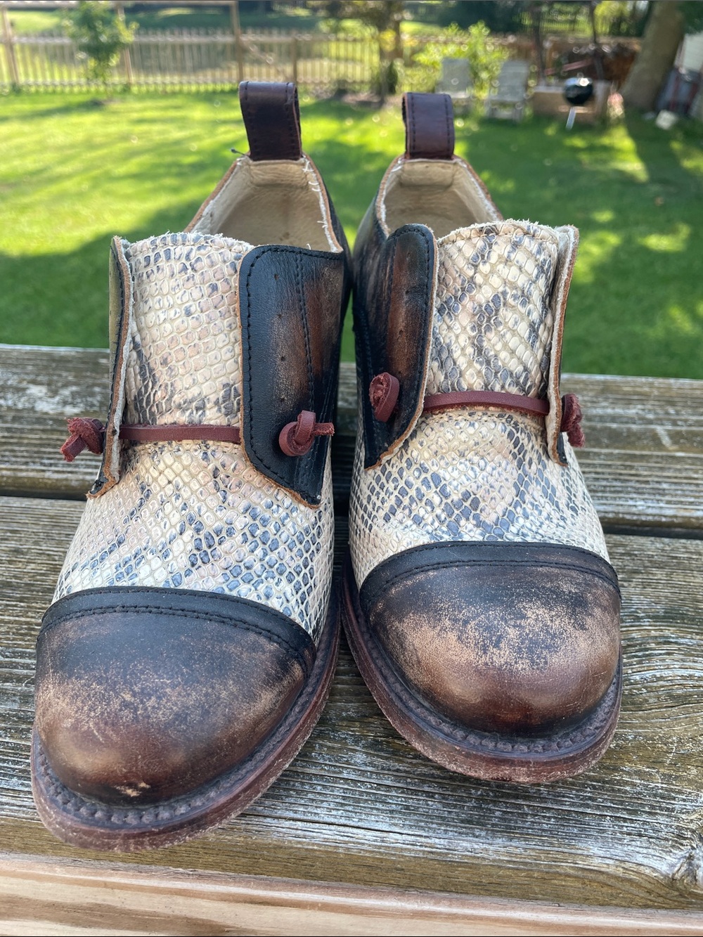 Freebird by Steven Sz 8 Catalina Brown & Cream Snake-Print Leather Heeled Oxford - Picture 3 of 15